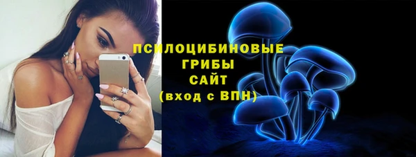 бошки Абдулино