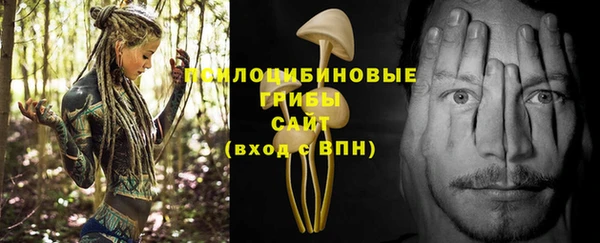 бошки Абдулино