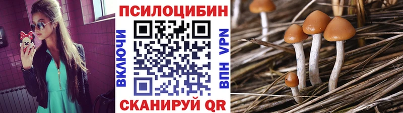 магазин продажи   Пойковский  Галлюциногенные грибы GOLDEN TEACHER 